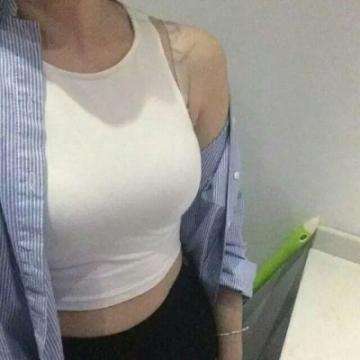 宠物小精灵xy无限钻石版下载